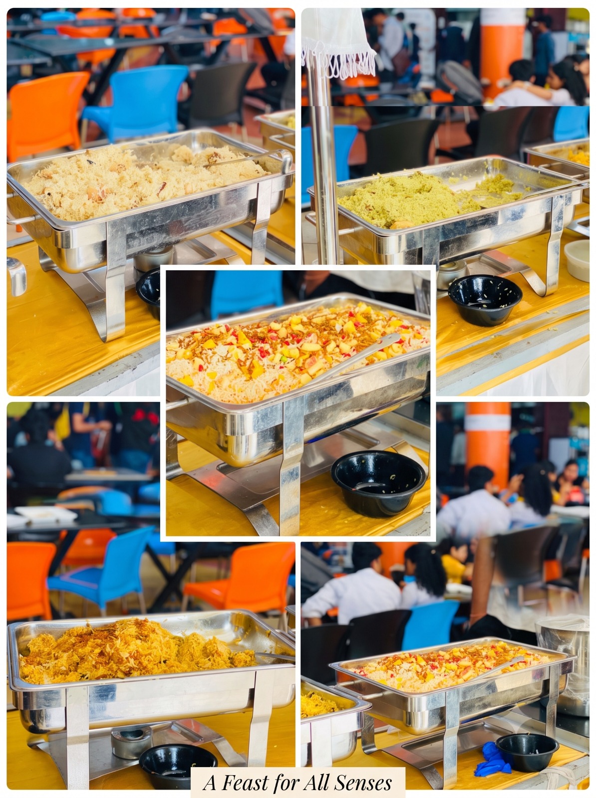 Biryani varieties on the counter at the Grand Biryani Mela